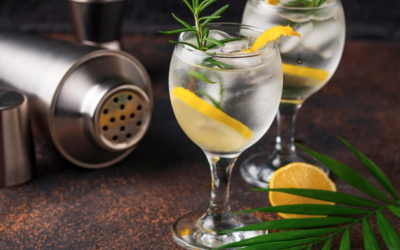 Drinks refrescantes com Gin